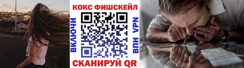 Купить где  Пикалёво  КОКАИН FishScale 