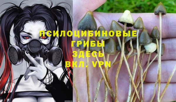 мяу мяу кристалл Бугульма