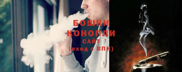 гашик Бронницы