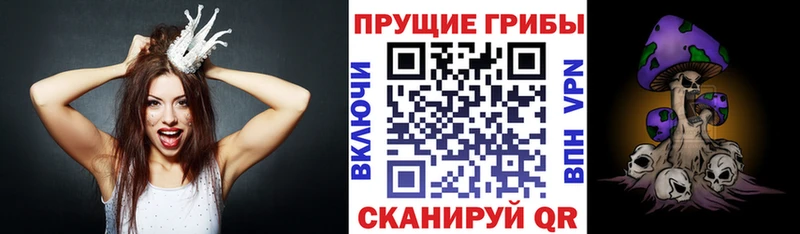 Купить где  Пикалёво  Псилоцибиновые грибы Psilocybe 